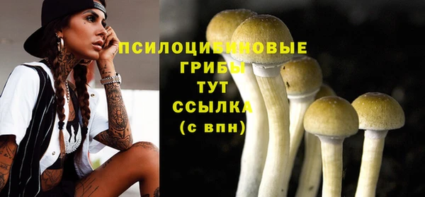 МДМА Абаза