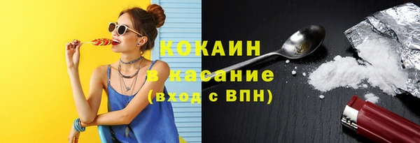 крисы Алзамай