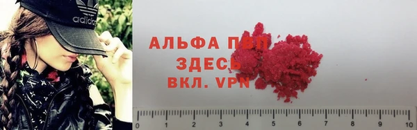 крисы Алзамай