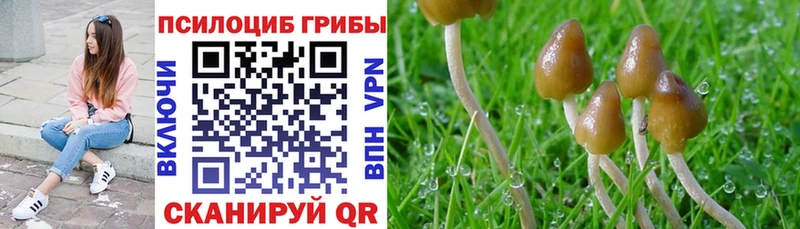 Галлюциногенные грибы MAGIC MUSHROOMS  купить наркотик  МЕГА ссылка  Лодейное Поле 
