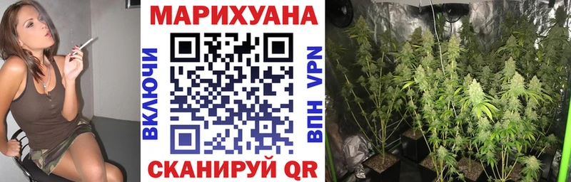 купить наркотики цена  Лодейное Поле  Бошки марихуана THC 21% 